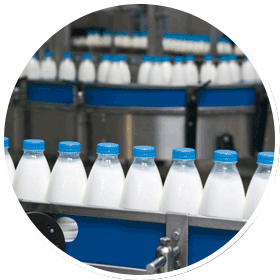 Food and Dairy